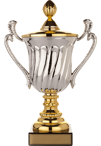 https://karting.raphaeldarbellay.ch/wp-content/uploads/2022/10/trophies_02.png