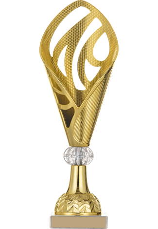 https://karting.raphaeldarbellay.ch/wp-content/uploads/2022/10/trophies_03.png